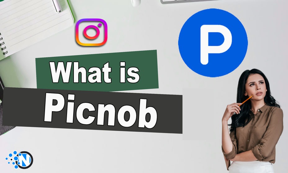 What Is Picnob? All You Need To Know